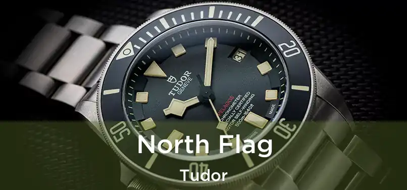  North Flag Tudor