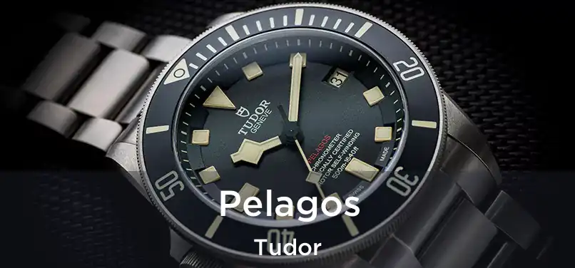  Pelagos Tudor