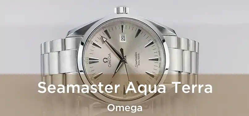  Seamaster Aqua Terra Omega